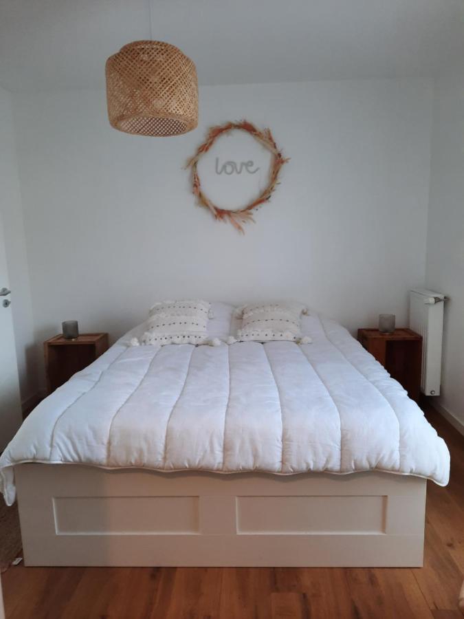 Saint-Malo : bel appartement -10min à pied intra/plages Exterior foto